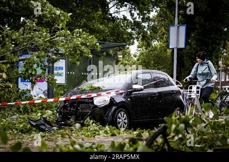 HAARLEM - Un albero caduto su un'auto sulla Marnixstraat ad Haarlem. La prima tempesta estiva dell'anno e la prima nel suo genere dall'agosto 2020 è stata chiamata Poly. Il KNMI ha emesso il codice rosso per una parte del paese. ANP REMKO DE WAAL netherlands Out - belgium Out Foto Stock