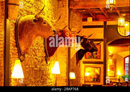 Siviglia, Spagna - 20 gennaio 2023: Statue di teste di toro in un ristorante di fronte all'edificio dell'arena. Le sculture sono montate su una struttura gialla Foto Stock