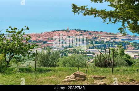 Pittoresco villaggio di Izola sulla costa adriatica della Slovenia, Europa Foto Stock