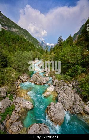 Canyon selvaggio con acque cristalline turchesi nella valle di Soca, Parco Nazionale di Trigalv vicino a Bovec, Slovenia Foto Stock