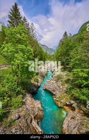 Canyon selvaggio con acque cristalline turchesi nella valle di Soca, Parco Nazionale di Trigalv vicino a Bovec, Slovenia Foto Stock
