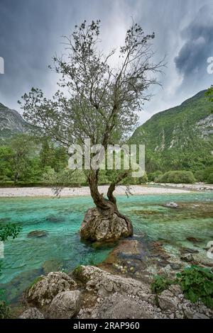 Canyon selvaggio con acque cristalline turchesi nella valle di Soca, Parco Nazionale di Trigalv vicino a Bovec, Slovenia Foto Stock