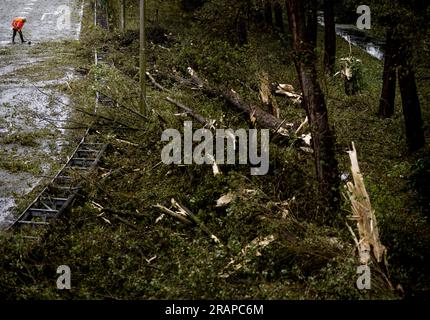 ESTERNO - danni provocati dalle tempeste sull'autostrada A9. A causa della prima tempesta estiva dell'anno, chiamata Poly, dozzine di alberi e rami si trovano sulla strada. Il KNMI ha emesso il codice rosso per una parte del paese. ANP KOEN VAN WEEL paesi bassi fuori - belgio fuori Foto Stock