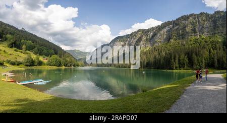 Panorama del lago di Montriond nella catena montuosa delle Alpi francesi e stagno d'acqua sciolta durante l'estate. Foto Stock