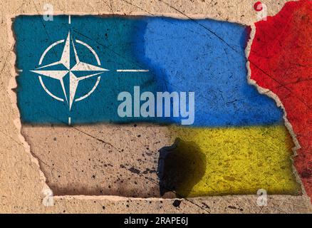 Bandiera dell'Organizzazione NATO del Trattato del Nord Atlantico e bandiera dell'Ucraina su uno sfondo astratto di carta strappata e macchiata. Foto Stock