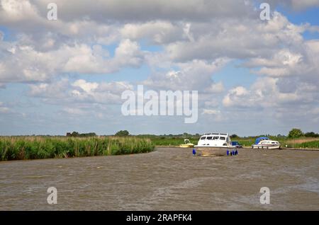 Una vista di un incrociatore che si fa strada sul fiume Bure a valle di Aquila sul Norfolk Broads a Stokesby, Norfolk, Inghilterra, Regno Unito. Foto Stock