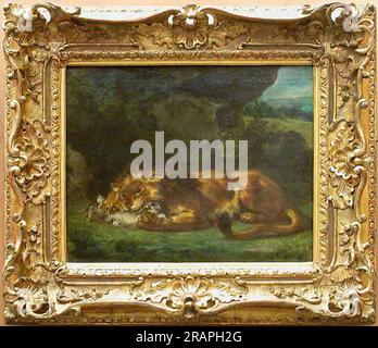 Lion Devouring a Rabbit 1856 di Eugene Delacroix Foto Stock