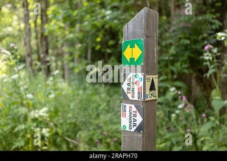 Sentiero e palo di direzione con frecce che conducono a vari percorsi fuoristrada per jogging ed escursionisti Foto Stock