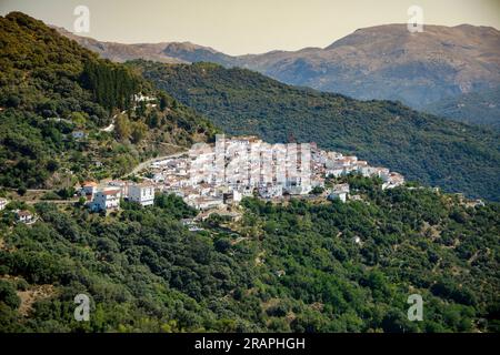 Vista in lontananza del bianco villaggio di Algatocin, nella provincia di Malaga e tra le verdi montagne della Serrania de Ronda Foto Stock