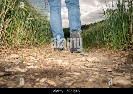 Vista angolare bassa dei piedi maschili con scarpe da trekking che si allontanano dalla fotocamera Foto Stock