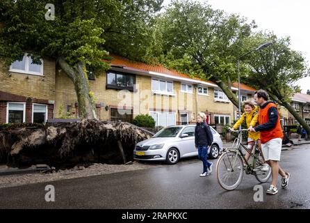 HAARLEM - quattro alberi caddero sulle case sulla Molijnstraat ad Haarlem. La prima tempesta estiva dell'anno e la prima nel suo genere dall'agosto 2020 è stata chiamata Poly. Il KNMI ha emesso il codice rosso per una parte del paese. ANP REMKO DE WAAL netherlands Out - belgium Out Foto Stock