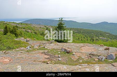 Pittoreschi paesaggi montani del Parco Nazionale dell'Acadia al mattino nebbioso. Stato del Maine. USA Foto Stock