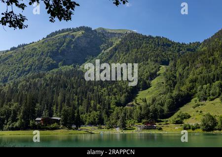 LAC Montriond visto dall'alto. Aerea delle Alpi francesi, lago d'acqua sciolta in estate. Foto Stock