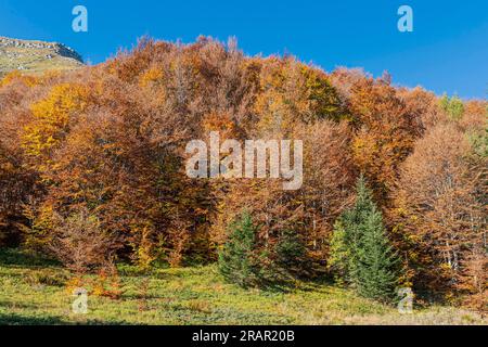 l'appennino monta durante la stagione autunnale, pievepelago, italia Foto Stock