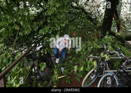 Amsterdam, Paesi Bassi. 5 luglio 2023. Un turista cammina sotto un albero caduto sulla strada durante i forti venti della tempesta Poly presso il canale Herengracht il 5 luglio 2023 ad Amsterdam, Paesi Bassi. Una donna ad Haarlem fuori Amsterdam è morta in ospedale per le ferite riportate dopo che un albero è caduto sulla sua auto, l'aeroporto di Schiphol ha cancellato tutti i voli durante la mattina, diversi alberi sono caduti. La tempesta Polly ha attraversato i Paesi Bassi con raffiche di vento fino a 146 km all'ora (foto di Paulo Amorim/Sipa USA) credito: SIPA USA/Alamy Live News Foto Stock