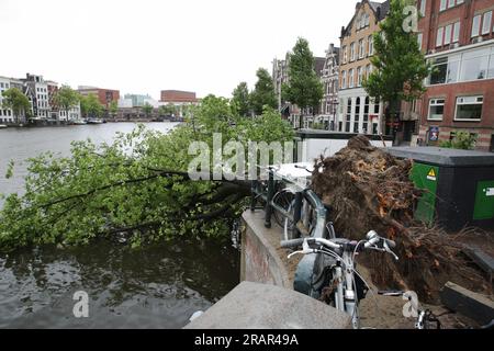 Un albero caduto sulla barca durante i forti venti della tempesta Poly presso il fiume Amstel il 5 luglio 2023 ad Amsterdam, Paesi Bassi. Una donna ad Haarlem fuori Amsterdam è morta in ospedale per le ferite riportate dopo che un albero è caduto sulla sua auto, l'aeroporto di Schiphol ha cancellato tutti i voli durante la mattina, diversi alberi sono caduti. La tempesta Polly ha attraversato i Paesi Bassi con raffiche di vento fino a 146 km/h (foto di Paulo Amorim/Sipa USA) Foto Stock