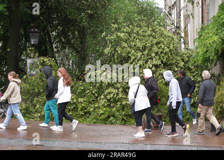 I turisti e la gente del posto camminano davanti a un albero caduto sulla strada durante i forti venti della tempesta Poly presso il canale Herengracht il 5 luglio 2023 ad Amsterdam, Paesi Bassi. Una donna ad Haarlem fuori Amsterdam è morta in ospedale per le ferite riportate dopo che un albero è caduto sulla sua auto, l'aeroporto di Schiphol ha cancellato tutti i voli durante la mattina, diversi alberi sono caduti. La tempesta Polly ha attraversato i Paesi Bassi con raffiche di vento fino a 146 km/h (foto di Paulo Amorim/Sipa USA) Foto Stock