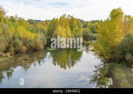 fiume scrivia, rivalta scrivia, italia Foto Stock