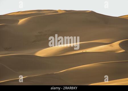 Gli escursionisti che si arrampicano lungo un'enorme dorsale di dune di sabbia al Great Sand Dunes National Park e conservano nel deserto del Colorado al tramonto Foto Stock