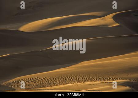 Gli escursionisti che si arrampicano lungo un'enorme dorsale di dune di sabbia al Great Sand Dunes National Park e conservano nel deserto del Colorado al tramonto Foto Stock