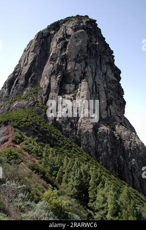 canyon roccioso sopra la pineta con cielo blu sullo sfondo Foto Stock