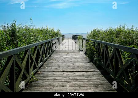 Molo di legno sul lago Lebsko nel Parco Nazionale Slowinski, Leba, Polonia settentrionale Foto Stock