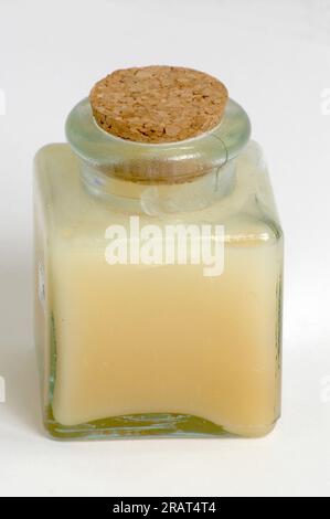 vaso di vetro con tappo in sughero riempito con crema su sfondo bianco Foto Stock