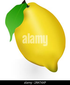 Limone realistico, intero e affettato ​​with foglia verde, frutta fresca acida, buccia gialla brillante, serie di illustrazioni vettoriali di limoni isolati Illustrazione Vettoriale