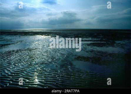 Appartamenti con fango a bassa marea Swansea Wales Foto Stock