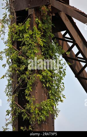 cavalletto per treni dettaglio di attraversamento della barra d'acciaio sotto i binari (viadotto moodna) primo piano dell'infrastruttura di rinforzo in metallo Foto Stock