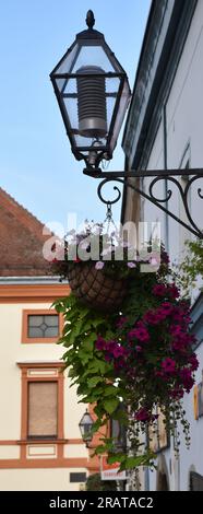 Lanterna trasparente della città vecchia appesa sulla piazza principale di Varazdin, Croazia Foto Stock