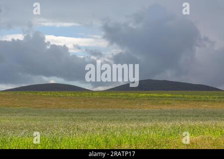 Prati di Machair a Berneray con montagne rotanti sullo sfondo, North Uist, Ebridi, Ebridi esterne, Isole occidentali, Scozia, Regno Unito Foto Stock