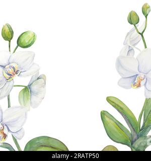 Cornice di fiori di orchidea bianca. Delicato e realistico acquerello botanico disegnato a mano. Clipart per inviti di nozze, decorazioni, tessuti, regali Foto Stock