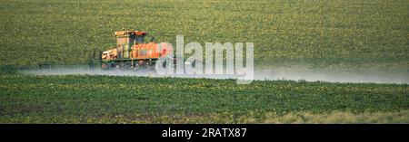 Miglioramento della salute del prodotto: Osservazione dell'irroratrice del trattore in azione Foto Stock