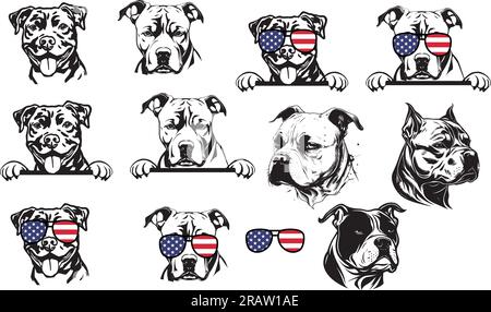 Serie di illustrazioni di cani bullo americani - isolati Illustrazione Vettoriale