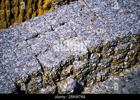 Immagine aerea di una cartiera, British Columbia, Canada Foto Stock