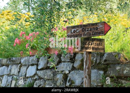 Sentiero escursionistico, Lago d'Iseo, Lago d'Iseo, Iseosee, Italia. Monte Isola Foto Stock