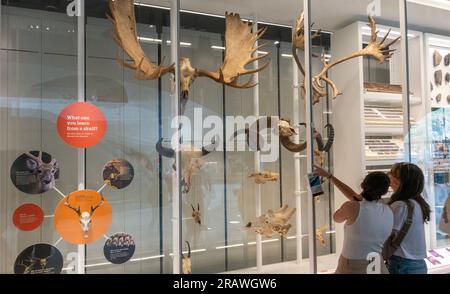 Il Gilder Center presso l'American Museum of Natural History nella parte superiore del westside di Manhattan NYC Foto Stock
