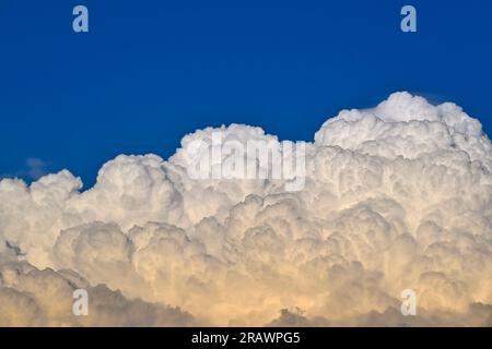 Una grande nuvola di tuoni bianchi e gonfi su uno sfondo blu del cielo che sovrasta la campagna dell'Alberta Canada. Foto Stock