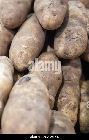 Mazzo di patate crude in un mercato agricolo Foto Stock