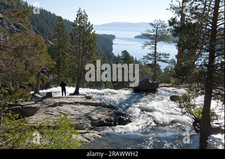 Un uomo che gode della vista da un alto punto panoramico vicino alla cascata nell'Emerald Bay State Park, Lake Tahoe, California, USA Foto Stock