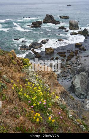 Shell Beach, California. Alto punto panoramico della costa rocciosa del Pacifico, con piante costiere, picchi di mare e rocce. Foto Stock