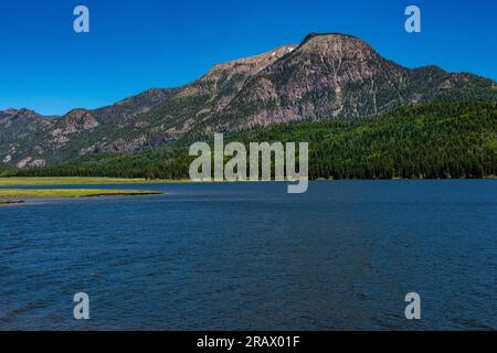 Williams Reservoir e Creek si trovano nella natura selvaggia tra Pagosa Springs e Lake City Foto Stock