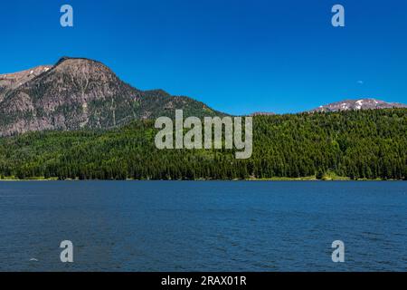 Williams Reservoir e Creek si trovano nella natura selvaggia tra Pagosa Springs e Lake City Foto Stock