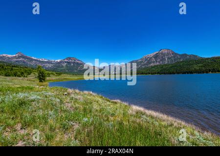 Williams Reservoir e Creek si trovano nella natura selvaggia tra Pagosa Springs e Lake City Foto Stock