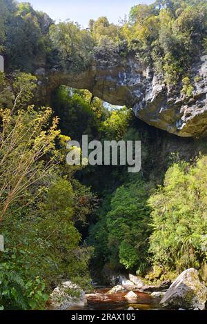 Il famoso arco calcareo di Oparara nel bacino di Oparara, Karamea, nuova Zelanda. Foto Stock