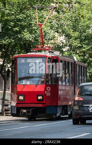 Belgrado, Serbia. 5 luglio 2023. Un tram sta passando per Belgrado. Crediti: Silas Stein/dpa/Alamy Live News Foto Stock