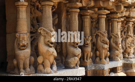 Sculture di leoni mitologici sui pilastri del tempio di Kailasnathar, Kanchipuram, Tamilnadu, India. Foto Stock