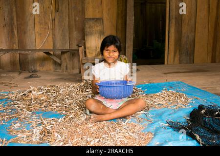 Chuiparillo, Perù; 1 ottobre 2022: Una ragazza che seleziona legumi nella giungla peruviana. Foto Stock