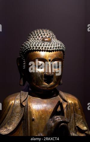 Statue di Buddha buddisti provenienti da vari paesi ed epoche raccolte dal monastero di Tsz Shan a Hong Kong Foto Stock